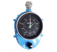 Endress+Hauser Float Gauge LT5