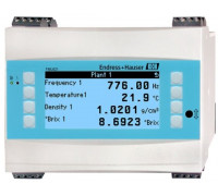 Endress+Hauser FML621