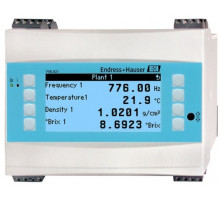 Endress+Hauser FML621