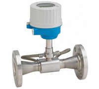 Endress+Hauser Proline Prosonic Flow E 100