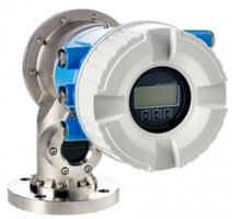 Endress+Hauser Proservo NMS81