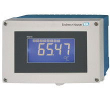 Endress+Hauser RID16
